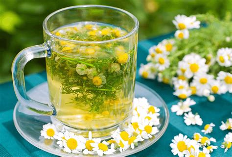 Magical poperties of chamomile